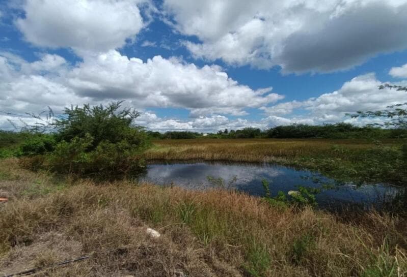 Foto 22 de 23: Area Rural em leilão em Juazeiro - BA — LOTE 001 UM IMÓVEL RURAL/ ÁREA IRRIGAVEL / PROJETO CURAÇA – 80,23 HA, COM DIVERSAS BENFEITORIAS, EM