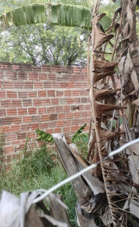 Foto 5 de 6: Casa em leilão em Ipirá - BA, bairro Morada Nobre — LOTE 001 UM IMÓVEL URBANO, GARAGEM, SALA, 02 QUARTOS, COZINHA. RUA EMÍDIO AQUINO, Nº 100, IPIRÁ/BA.