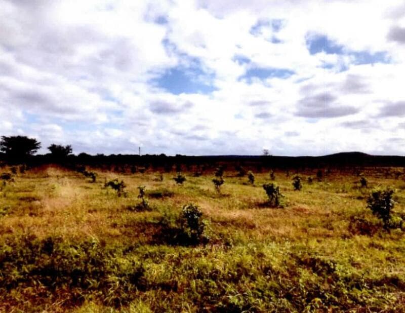 Foto 1 de 5: Area Rural em leilão em Casa Nova - BA — LOTE 001 UM IMÓVEL RURAL, “SÍTIO CELINA” - COM ÁREA DE 09,15,12 HECTARES EM CASA NOVA/BA.
