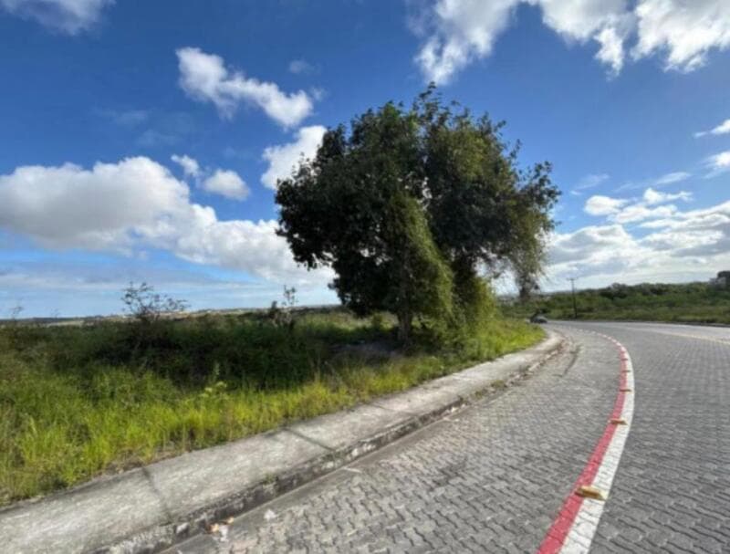 Foto 3 de 8: Terreno em leilão em Dias D'ávila - BA, bairro Nova Dias D’ávila — LOTE 001 ÁREA DE TERRENO COM ÁREA DE 912.202,24 M² (91,220224 HECTARES), AVENIDA IMBASSAÍ, ÁREA 2, S