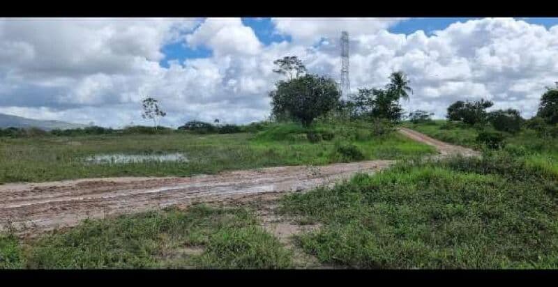 Foto 1 de 3: Terreno em leilão em Areia Branca - SE — LOTE 001 Terreno rural denominado PRATA