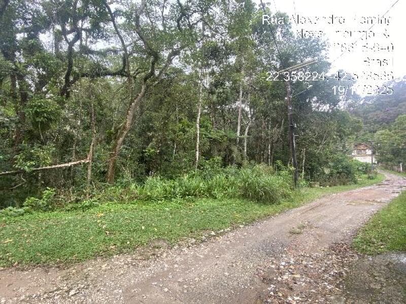 Terreno em leilão em Nova Friburgo - RJ, bairro Mury — LOTE 297 Terreno