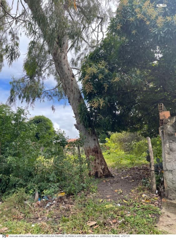 Foto 1 de 2: Terreno em leilão em Aracaju - SE, bairro Povoado Areia Branca — LOTE 004 Imóvel Lote