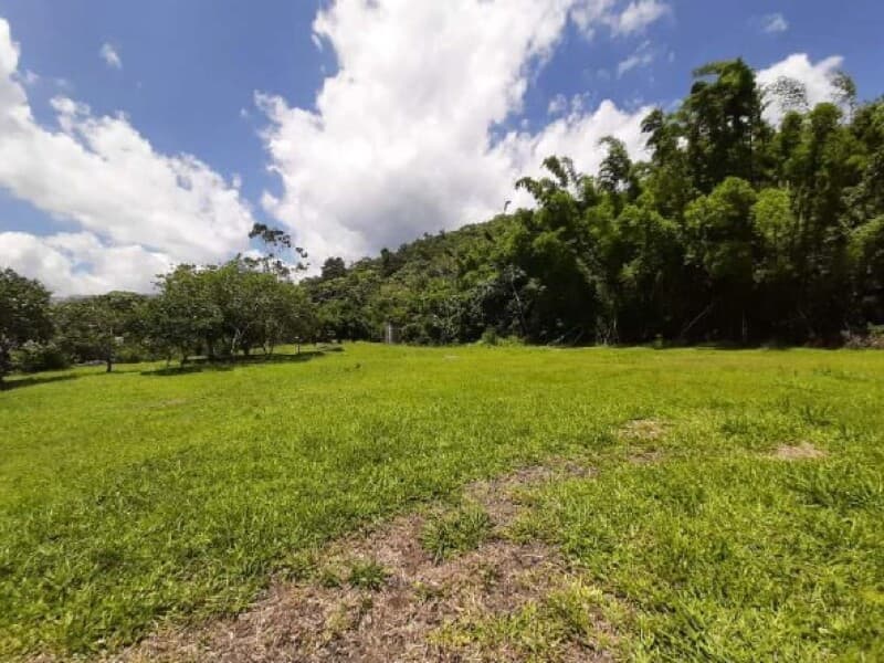 Foto 6 de 8: Terreno em leilão em Santo Amaro Da Imperatriz - SC — LOTE 001 EMPREENDIMENTO IMOBILIÁRIO NO SETOR HOTELEIRO, COM ÁREA TOTAL DE 64.555,76M²