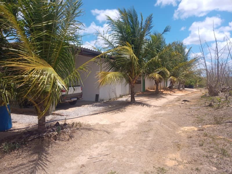 Foto 20 de 59: Area Rural em leilão em Taipu - RN — LOTE 001 Imóvel rural em Taipu/RN – 15,95 ha, galpão, casa, poços, irrigação, energia solar e cultiv