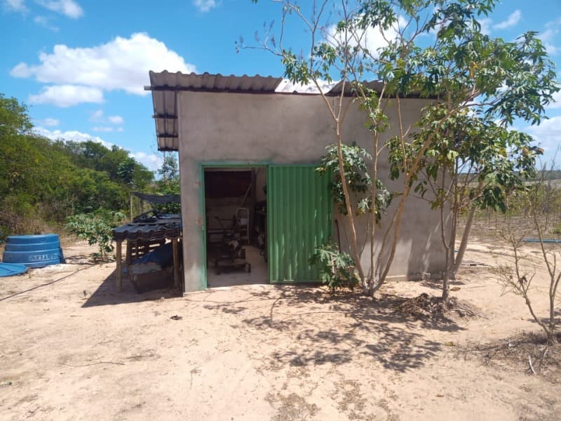 Foto 22 de 59: Area Rural em leilão em Taipu - RN — LOTE 001 Imóvel rural em Taipu/RN – 15,95 ha, galpão, casa, poços, irrigação, energia solar e cultiv