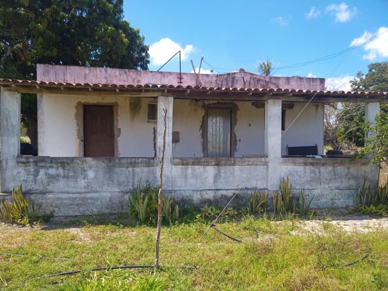 Foto 41 de 59: Area Rural em leilão em Taipu - RN — LOTE 001 Imóvel rural em Taipu/RN – 15,95 ha, galpão, casa, poços, irrigação, energia solar e cultiv
