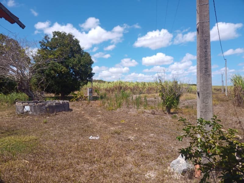 Foto 44 de 59: Area Rural em leilão em Taipu - RN — LOTE 001 Imóvel rural em Taipu/RN – 15,95 ha, galpão, casa, poços, irrigação, energia solar e cultiv
