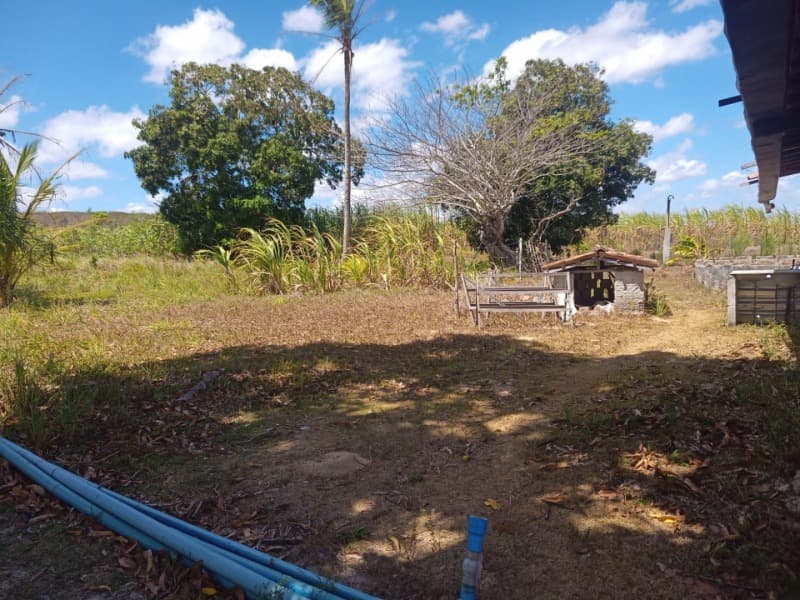 Foto 50 de 59: Area Rural em leilão em Taipu - RN — LOTE 001 Imóvel rural em Taipu/RN – 15,95 ha, galpão, casa, poços, irrigação, energia solar e cultiv