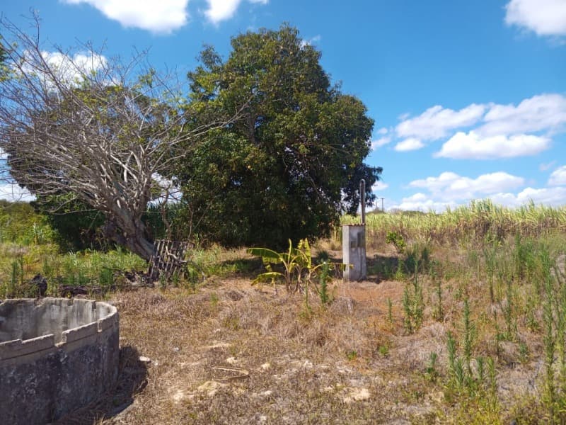 Foto 59 de 59: Area Rural em leilão em Taipu - RN — LOTE 001 Imóvel rural em Taipu/RN – 15,95 ha, galpão, casa, poços, irrigação, energia solar e cultiv