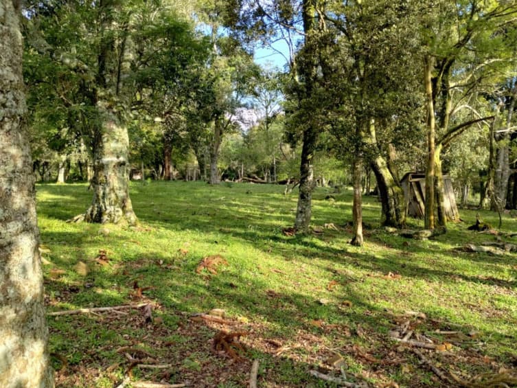 Foto 1 de 8: Terreno em leilão em Caçador - SC — LOTE 001 Terreno Rural com 92.529,23m2 em Caçador/SC