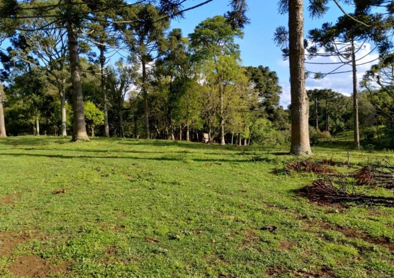 Foto 3 de 8: Terreno em leilão em Caçador - SC — LOTE 001 Terreno Rural com 92.529,23m2 em Caçador/SC