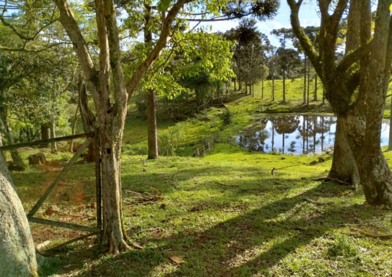 Foto 4 de 8: Terreno em leilão em Caçador - SC — LOTE 001 Terreno Rural com 92.529,23m2 em Caçador/SC