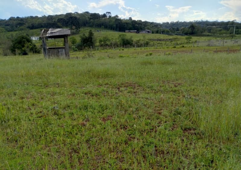 Foto 6 de 8: Terreno em leilão em Caçador - SC — LOTE 001 Terreno Rural com 92.529,23m2 em Caçador/SC