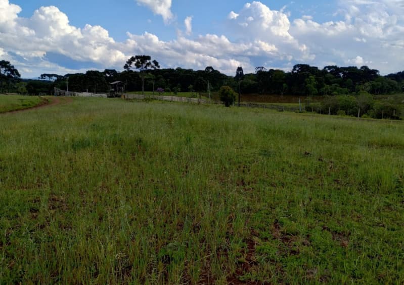 Foto 7 de 8: Terreno em leilão em Caçador - SC — LOTE 001 Terreno Rural com 92.529,23m2 em Caçador/SC