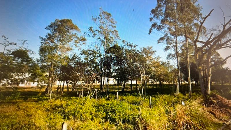 Terreno em leilão em São João Batista - SC, bairro Centro — LOTE 001 TERRENO EM SÃO JOÃO BATISTA/SC