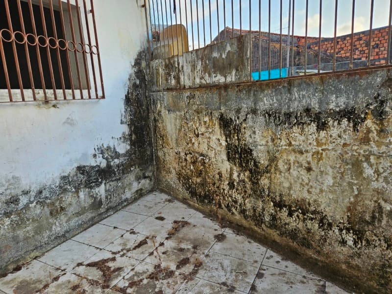Foto 19 de 19: Comercial em leilão em São Luís - MA — LOTE 001 Prédio na Avenida Gomes de Sousa, n° 536, Centro, São Luís/MA com área construída de 444,32