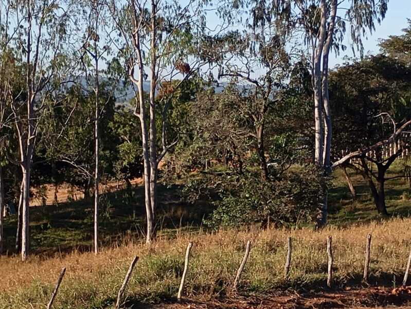 Foto 4 de 9: Terreno em leilão em Itaúna - MG — LOTE 001 Imóvel MG 050 - Ao lado do Restaurante Milhão