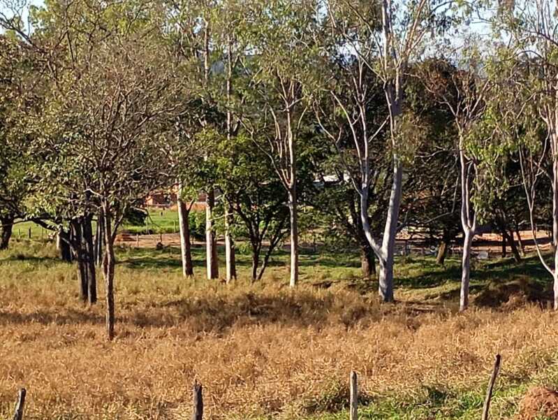 Foto 5 de 9: Terreno em leilão em Itaúna - MG — LOTE 001 Imóvel MG 050 - Ao lado do Restaurante Milhão
