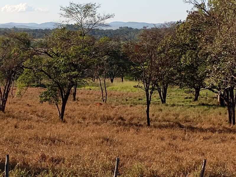 Foto 6 de 9: Terreno em leilão em Itaúna - MG — LOTE 001 Imóvel MG 050 - Ao lado do Restaurante Milhão