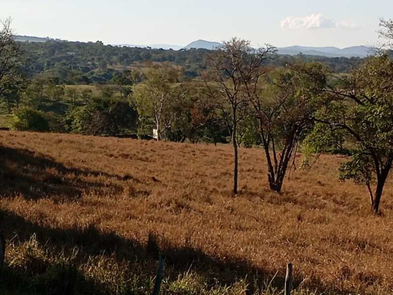Foto 7 de 9: Terreno em leilão em Itaúna - MG — LOTE 001 Imóvel MG 050 - Ao lado do Restaurante Milhão