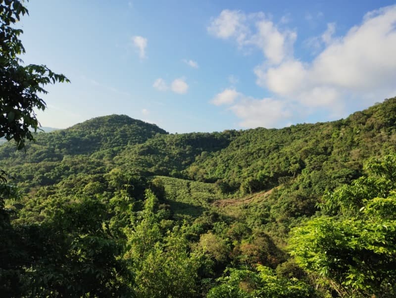 Area Rural em leilão em Faxinal Do Soturno - RS — LOTE 624-2 FRAÇÃO IDEAL DE 50% (55.500,00m²) PERTENCENTE À EXECUTADA SOBRE O SEGUINTE IMÓVEL: Uma fr