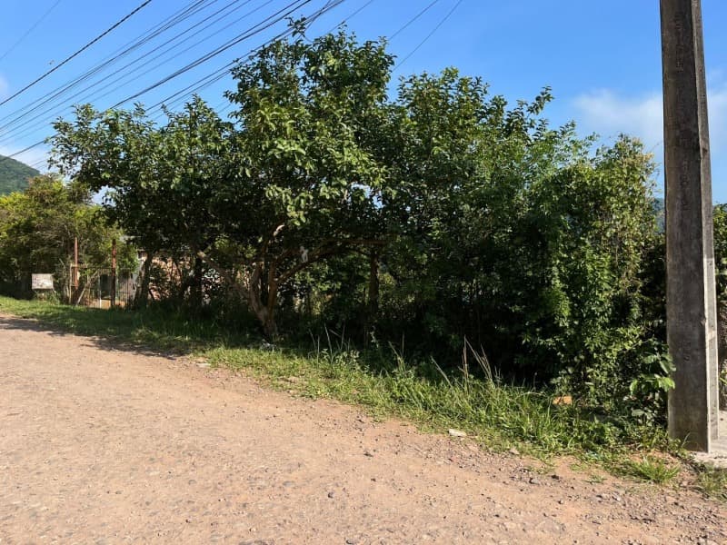 Terreno em leilão em Santa Maria - RS — LOTE 597-2 TERRENO URBANO com a área de 500,00m² em SANTA MARIA/RS