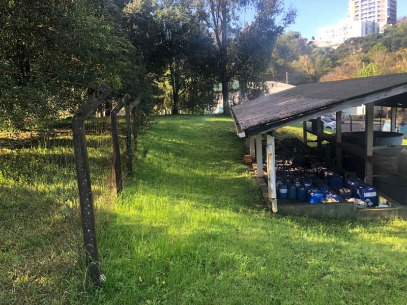 Foto 4 de 17: Casa em leilão em Erechim - RS — LOTE 001-3 LOTE URBANO Nº 11, DA SUBDIVISÃO DE PARTE DA CHÁCARA Nº 58"A", desmembrada da CHÁCARA Nº