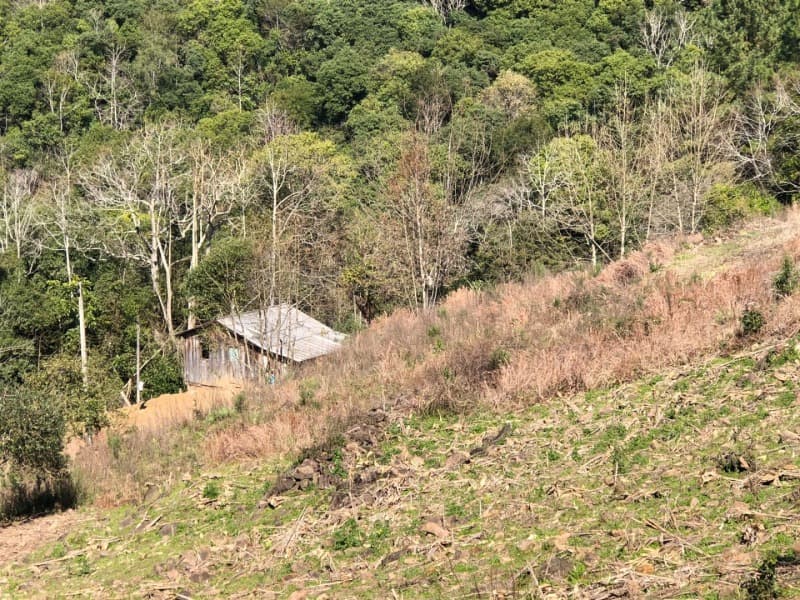 Foto 6 de 15: Area Rural em leilão em Barros Cassal - RS — LOTE 006 LOTE RURAL Nº 348, da Secção Godolfim Ramos, com a área de 146.000,00m² em Barros Cassal/RS