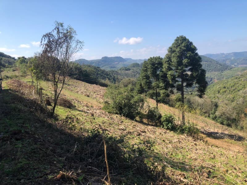 Foto 11 de 15: Area Rural em leilão em Barros Cassal - RS — LOTE 006 LOTE RURAL Nº 348, da Secção Godolfim Ramos, com a área de 146.000,00m² em Barros Cassal/RS