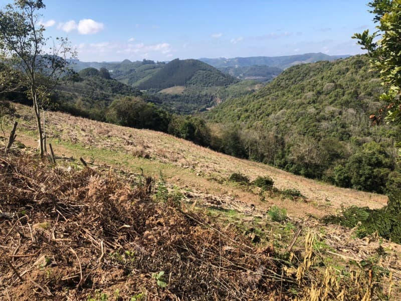 Foto 12 de 15: Area Rural em leilão em Barros Cassal - RS — LOTE 006 LOTE RURAL Nº 348, da Secção Godolfim Ramos, com a área de 146.000,00m² em Barros Cassal/RS
