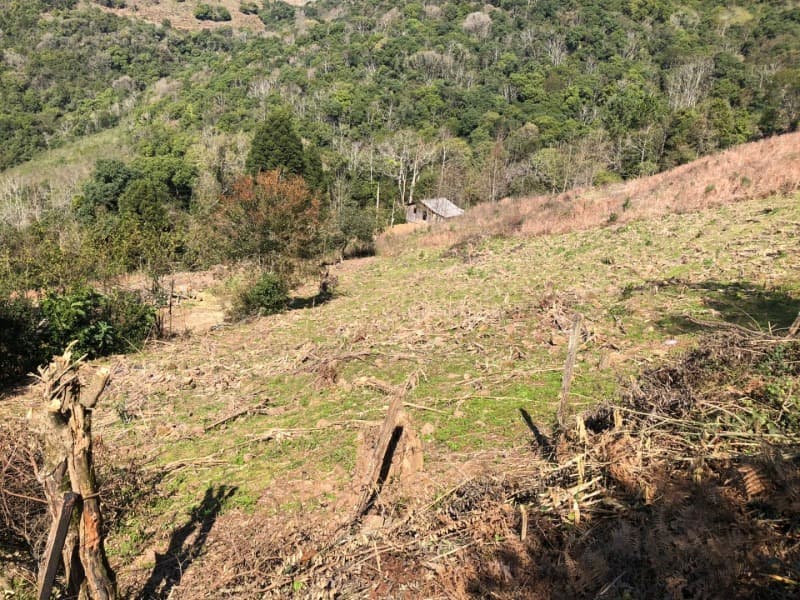 Foto 14 de 15: Area Rural em leilão em Barros Cassal - RS — LOTE 006 LOTE RURAL Nº 348, da Secção Godolfim Ramos, com a área de 146.000,00m² em Barros Cassal/RS