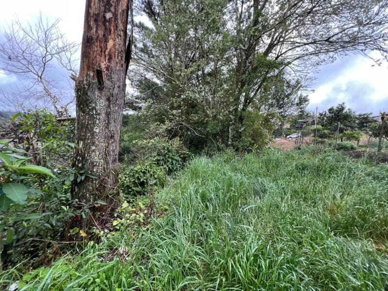 Foto 8 de 10: Terreno em leilão em Caxias Do Sul - RS — LOTE 001-5 UM TERRENO URBANO, constituído pelo atual lote administrativo nº 13, da quadra nº 5.240,