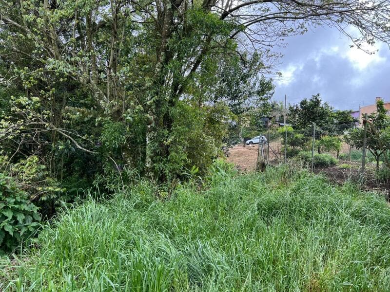 Foto 10 de 10: Terreno em leilão em Caxias Do Sul - RS — LOTE 001-5 UM TERRENO URBANO, constituído pelo atual lote administrativo nº 13, da quadra nº 5.240,