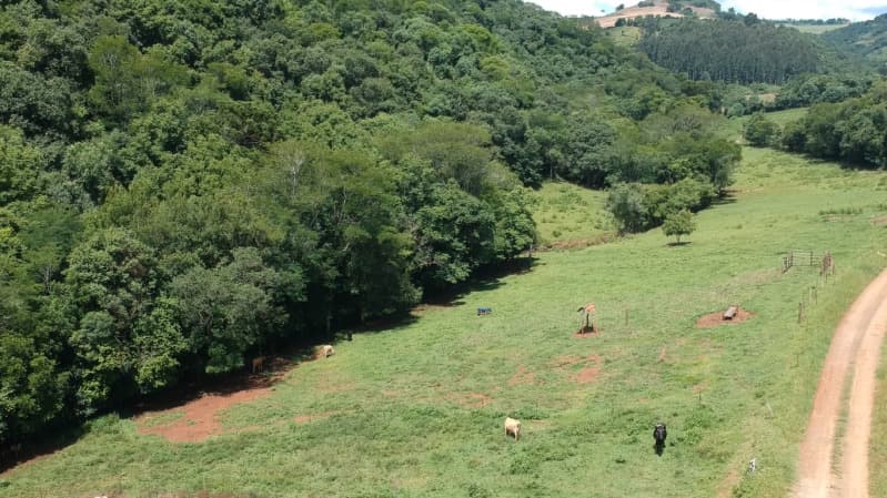 Area Rural em leilão em Maximiliano De Almeida - RS — LOTE 691-3 A FRAÇÃO IDEAL DE 5.555,55m² SOBRE PARTE DO LOTE RURAL Nº 63, da Linha Zero, Secção Forqu