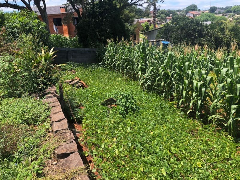 Foto 29 de 38: Area Rural em leilão em Maximiliano De Almeida - RS — LOTE 005 DIVERSAS FRAÇÕES IDEAIS DE IMÓVEIS URBANOS E RURAIS em MAXIMILIANO DE ALMEIDA/RS