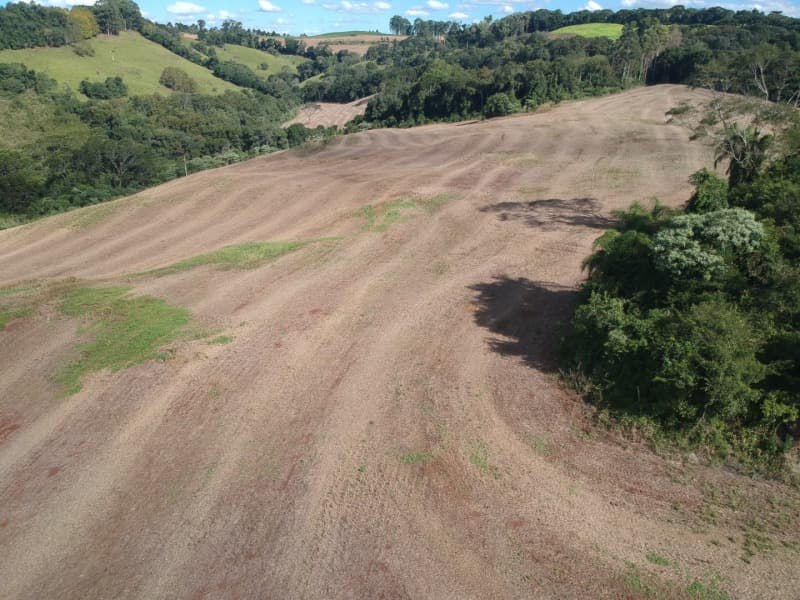 Area Rural em leilão em Viadutos - RS — LOTE 700 UM IMÓVEL, constituído de PARTE IDEAL DO LOTE RURAL Nº 49, da Linha Barbará, com área de 12