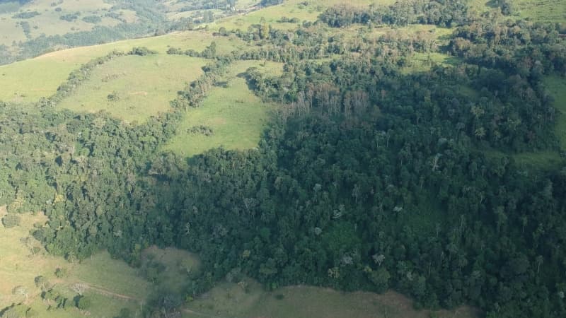 Area Rural em leilão em Erval Grande - RS — LOTE 701 A FRAÇÃO IDEAL DE 50% (128.750,00M²) SOBRE O LOTE RURAL Nº 06, com área total de 257.500,00