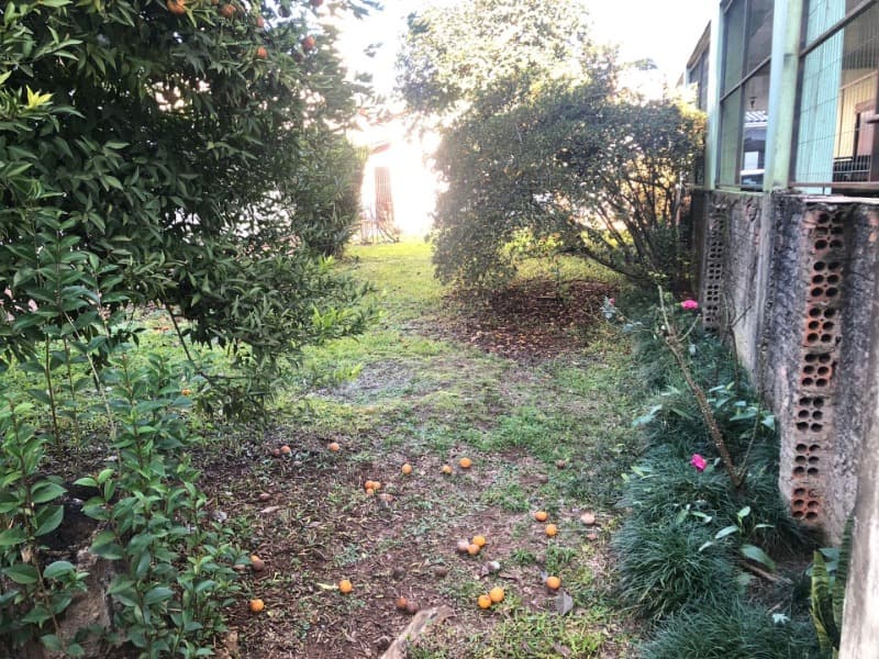 Foto 14 de 24: Casa em leilão em Passo Fundo - RS, bairro Centro — LOTE 702 UM LOTE DE TERRENO, constituído de parte do lote nº 17, com a área de 400,00m² + Benfeitori