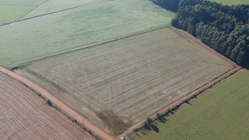 Foto 1 de 22: Terreno em leilão em Ernestina - RS, bairro Centro — LOTE 703 A FRAÇÃO IDEAL DE 10.000,00m² SOBRE UMA ÁREA DE TERRAS, com área de 146.250,00m², situada e