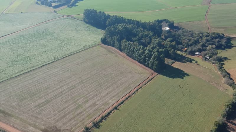 Foto 3 de 22: Terreno em leilão em Ernestina - RS, bairro Centro — LOTE 703 A FRAÇÃO IDEAL DE 10.000,00m² SOBRE UMA ÁREA DE TERRAS, com área de 146.250,00m², situada e