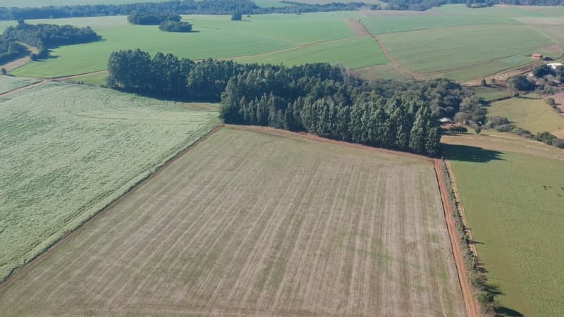 Foto 5 de 22: Terreno em leilão em Ernestina - RS, bairro Centro — LOTE 703 A FRAÇÃO IDEAL DE 10.000,00m² SOBRE UMA ÁREA DE TERRAS, com área de 146.250,00m², situada e
