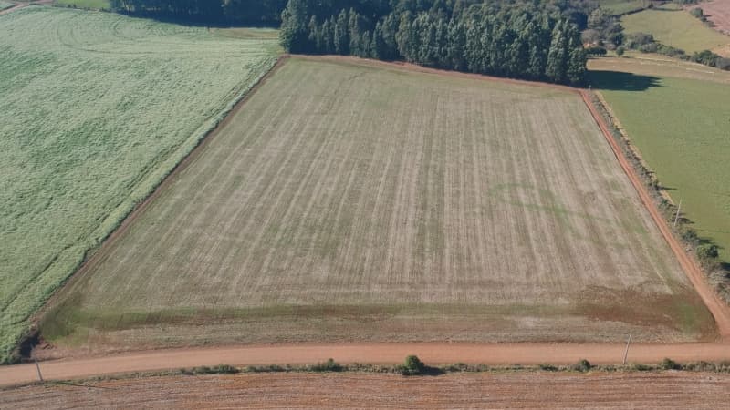 Foto 6 de 22: Terreno em leilão em Ernestina - RS, bairro Centro — LOTE 703 A FRAÇÃO IDEAL DE 10.000,00m² SOBRE UMA ÁREA DE TERRAS, com área de 146.250,00m², situada e