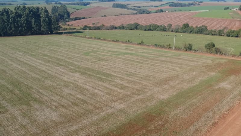 Foto 7 de 22: Terreno em leilão em Ernestina - RS, bairro Centro — LOTE 703 A FRAÇÃO IDEAL DE 10.000,00m² SOBRE UMA ÁREA DE TERRAS, com área de 146.250,00m², situada e