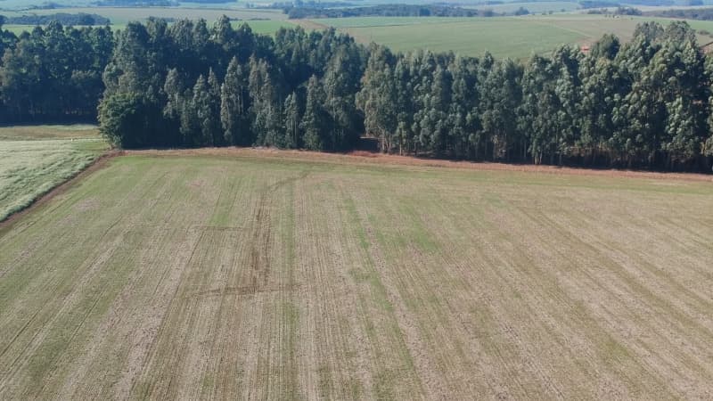 Foto 8 de 22: Terreno em leilão em Ernestina - RS, bairro Centro — LOTE 703 A FRAÇÃO IDEAL DE 10.000,00m² SOBRE UMA ÁREA DE TERRAS, com área de 146.250,00m², situada e
