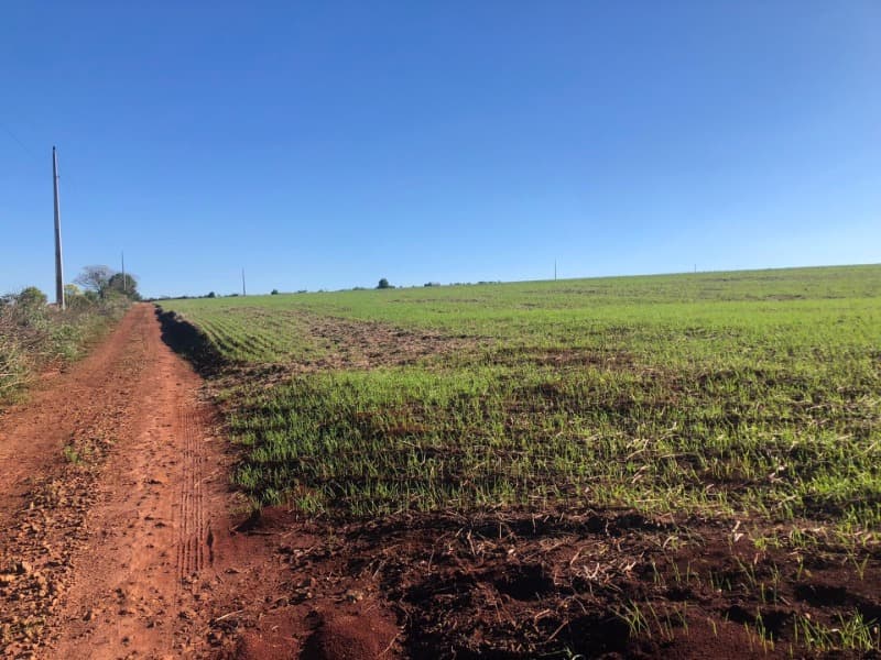 Foto 9 de 22: Terreno em leilão em Ernestina - RS, bairro Centro — LOTE 703 A FRAÇÃO IDEAL DE 10.000,00m² SOBRE UMA ÁREA DE TERRAS, com área de 146.250,00m², situada e