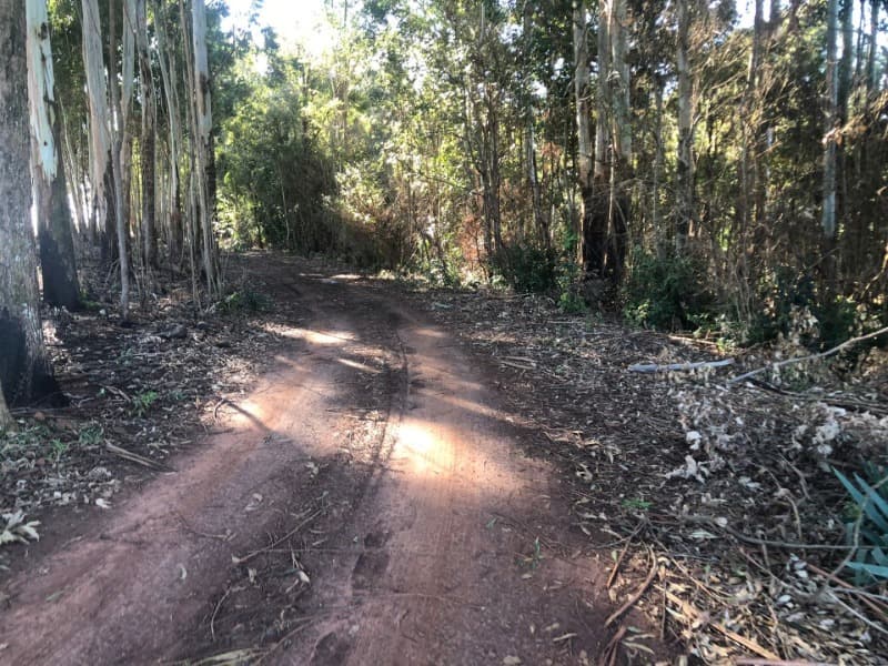 Foto 13 de 22: Terreno em leilão em Ernestina - RS, bairro Centro — LOTE 703 A FRAÇÃO IDEAL DE 10.000,00m² SOBRE UMA ÁREA DE TERRAS, com área de 146.250,00m², situada e