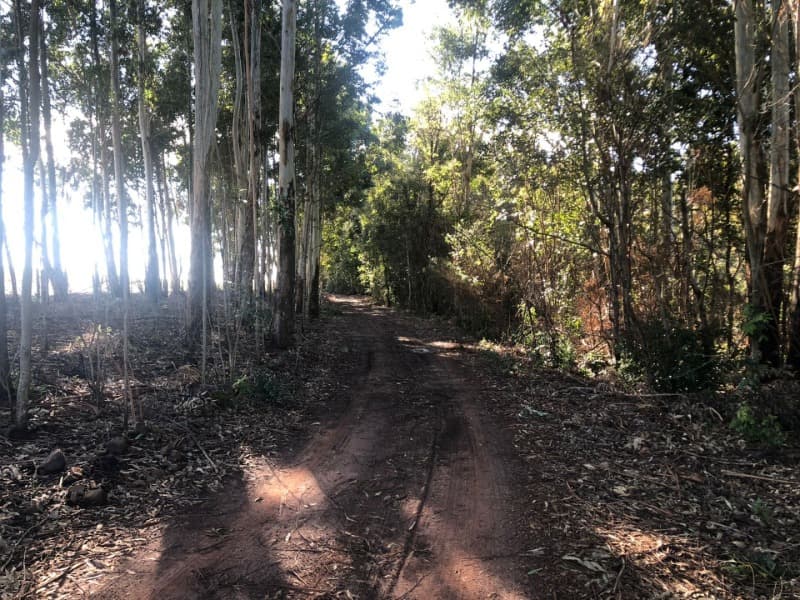 Foto 14 de 22: Terreno em leilão em Ernestina - RS, bairro Centro — LOTE 703 A FRAÇÃO IDEAL DE 10.000,00m² SOBRE UMA ÁREA DE TERRAS, com área de 146.250,00m², situada e