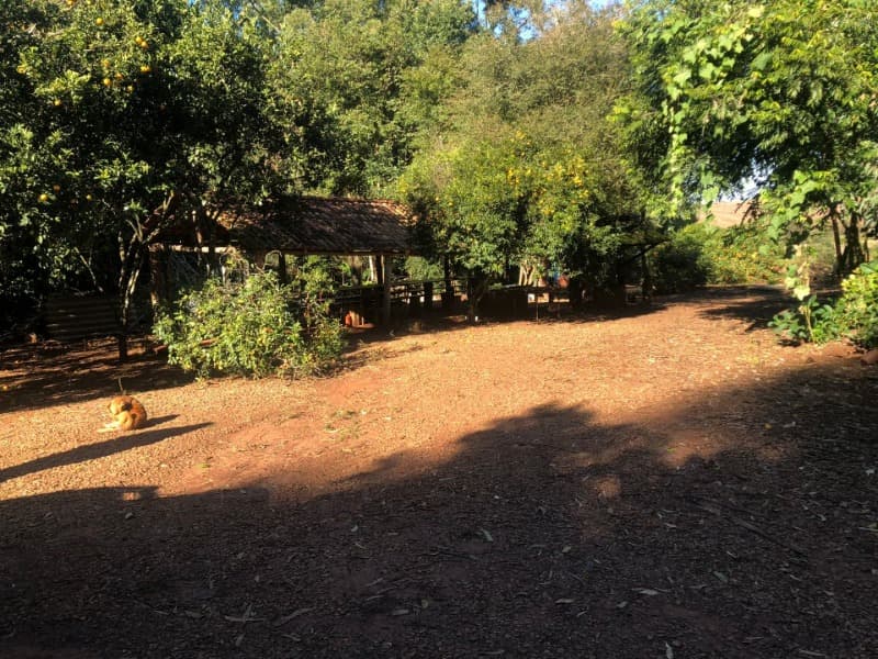 Foto 15 de 22: Terreno em leilão em Ernestina - RS, bairro Centro — LOTE 703 A FRAÇÃO IDEAL DE 10.000,00m² SOBRE UMA ÁREA DE TERRAS, com área de 146.250,00m², situada e