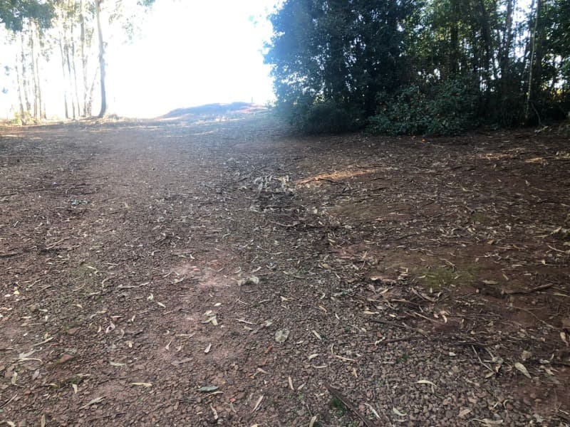 Foto 16 de 22: Terreno em leilão em Ernestina - RS, bairro Centro — LOTE 703 A FRAÇÃO IDEAL DE 10.000,00m² SOBRE UMA ÁREA DE TERRAS, com área de 146.250,00m², situada e